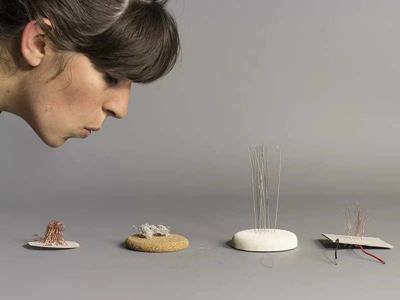 vanesse_violleau_web_de1